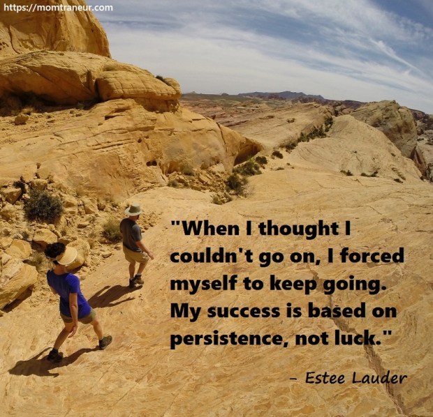 17074027361_9a17027b84_b