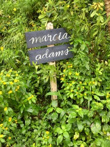 Marcia Adams Restaurant Sign