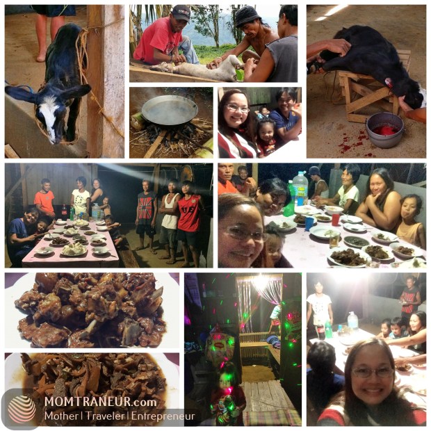 Mushroom Farm First Day of Operation Celebration