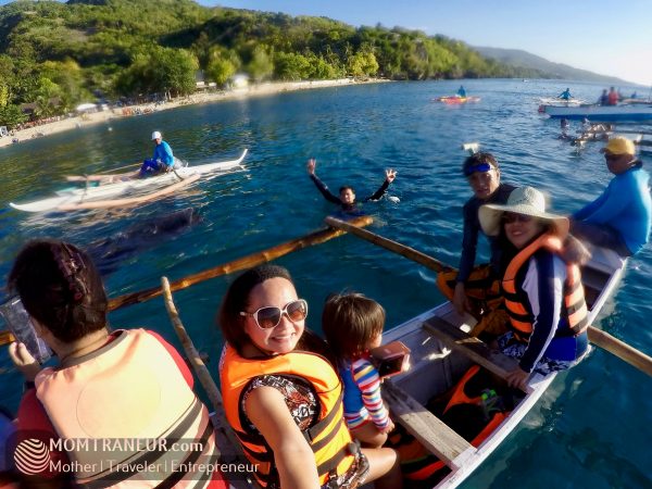 Whale Watching, Oslob, Cebu