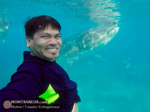 Whale Watching, Oslob, Cebu
