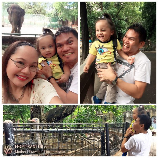 A visit to Manila Zoo
