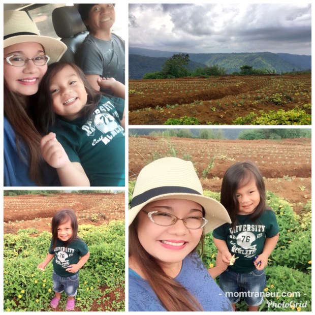 Tuscany Highlands Organic Farm