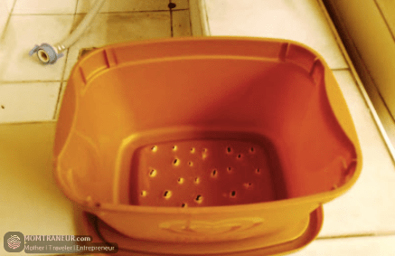 mini vegetable garden at home