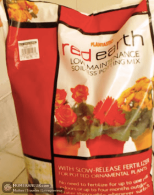 mini vegetable garden at home