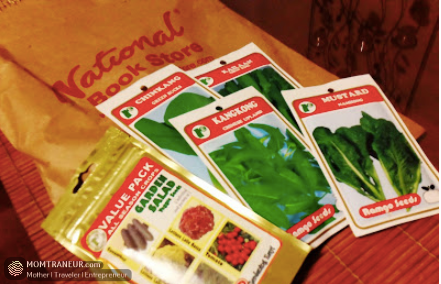 mini vegetable garden at home