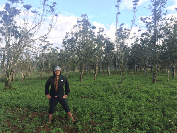 Tuscany Highlands Farm