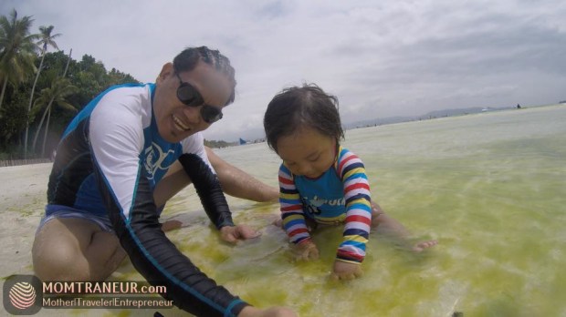 Boracay Algal Bloom