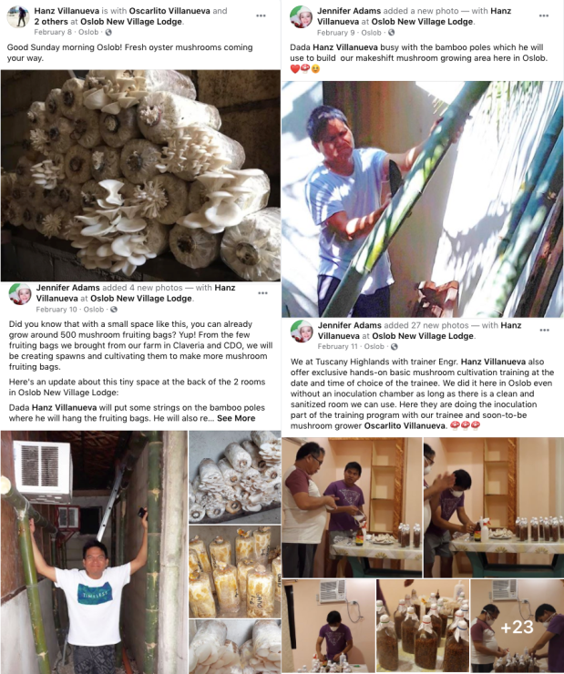 Mushroom Growing House