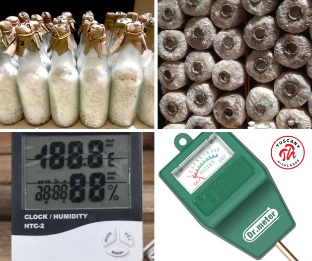 Oyster Mushroom Starter Kit