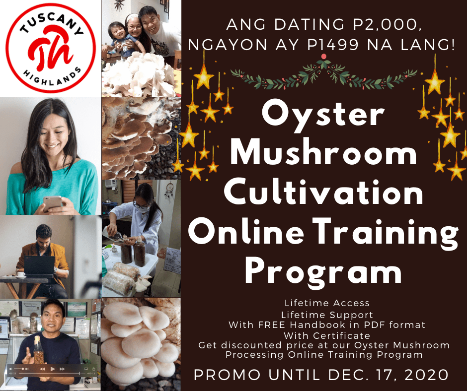Tuscany Highlands Oyster Mushroom Cultivation Online Training Program 